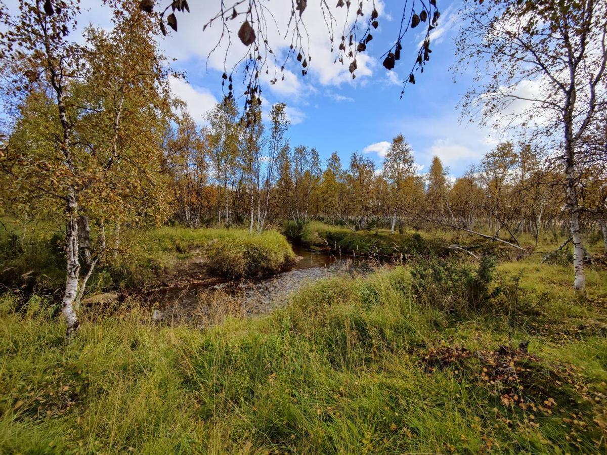 Villa Lavijoki Kaaresuvanto Zewnętrze zdjęcie